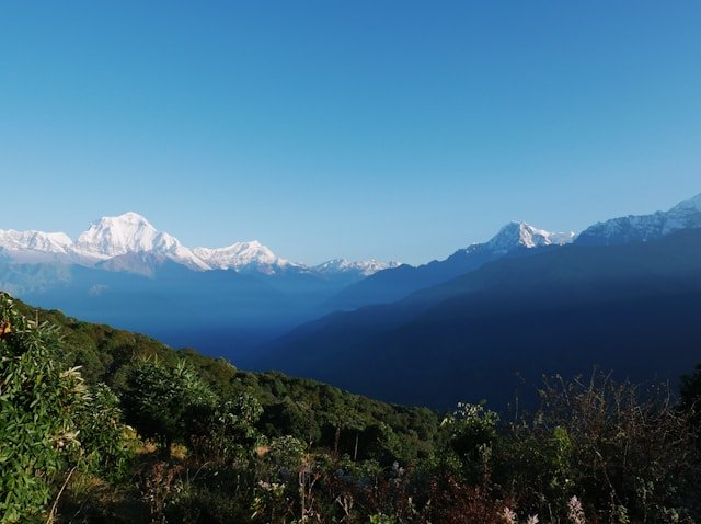 Ghorepani Poon Hill