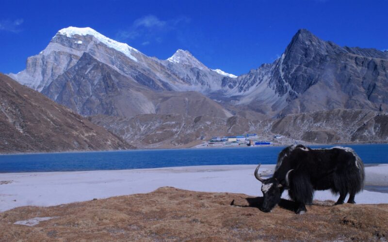 Everest Gokyo Chola Trek