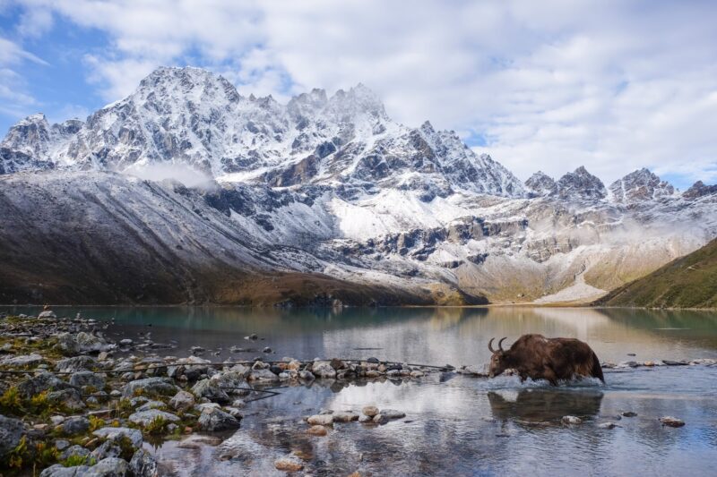 Everest Gokyo Ri Trek