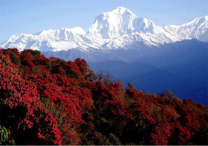 Trekking in Annapurna