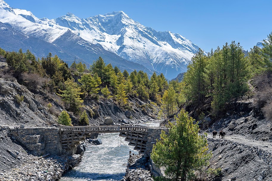 trekking in nepal