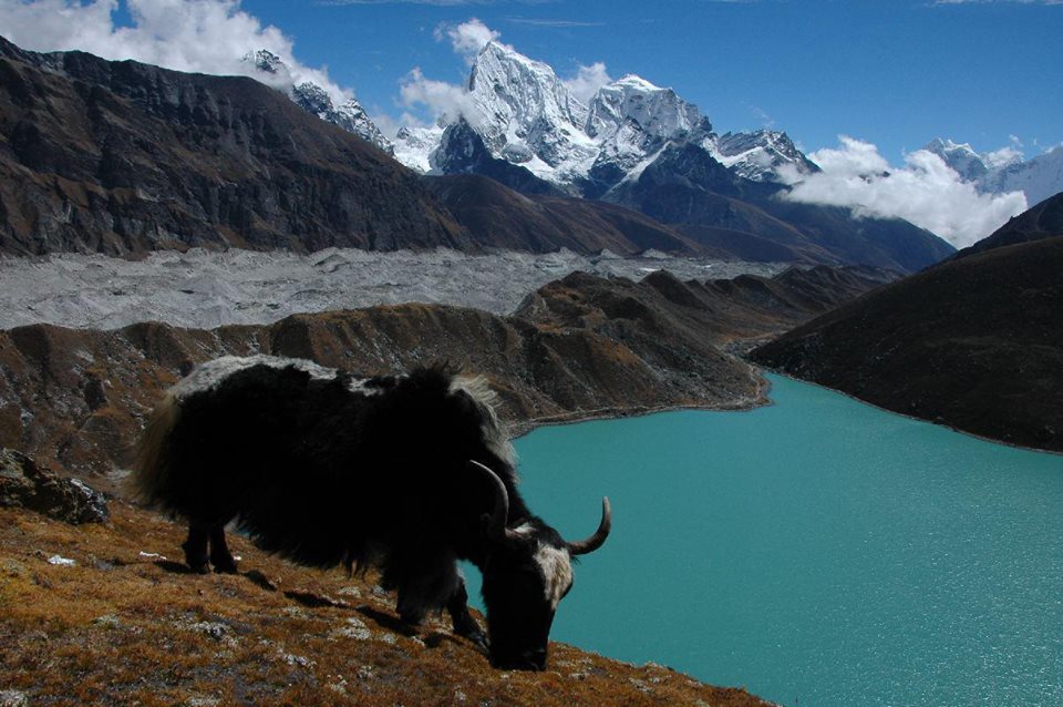  treks in Nepal