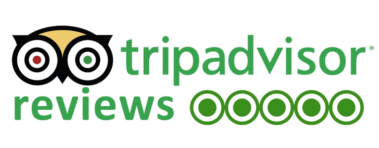 Tripadvisor Reviews